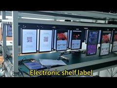 Full Color Dynamic Video Animated TFT ESL Display