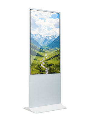 49 Inch  Floor Standing Digital Signage LCD Advertising Display Screen