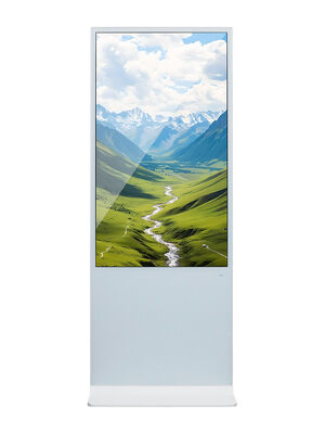 55 Inch Indoor LCD Digital Signage with 350 Cd/m² Brightness and Android OS for Advertising Display Screen