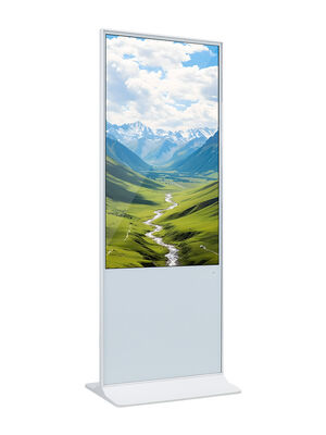 55 Inch Android OS Touch Screen Kiosk with 350nits Brightness LCD Advertising Display Digital Signage