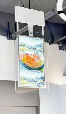 Double Sided Transparent OLED Digital Signage 55 Inch LCD Display for Advertising