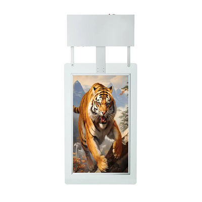 Hanging Monitor Digital Signage 55 Inch Window Display Signage